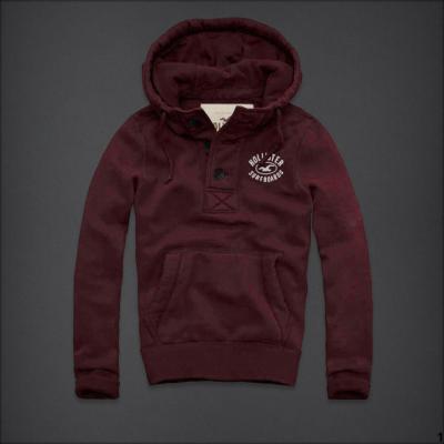 Hollister Men Hoodies-89